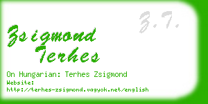 zsigmond terhes business card